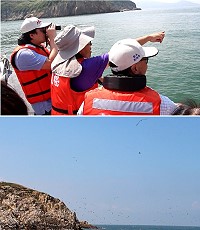 生態賞鷗搭配海上明媚風光,讓基隆市長林右昌及市府團隊都深深感動不已。(圖/文:吳嘉榮)