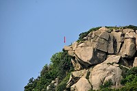 象鼻朝天　圖與文：陳鵬雄