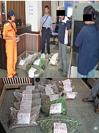 　秋節期間海巡邊境查驗無假期，馬祖岸巡成功攔截走私農產品，為國人食安把關。（圖：馬祖岸巡大隊）