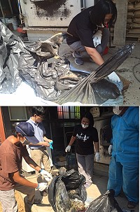 南、北竿澳口4月下旬出現3起鯨豚死亡事件,其中2隻被冰存屍體24日被帶回台灣進行解剖研究。(圖:建設局)