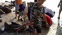 全村一起來熱鬧!(圖與文:張登傑、陳樂團)