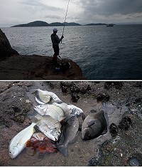 　秋風吹起馬祖磯釣季，台灣釣友近日探釣成績不如預期。（圖：林志仁）