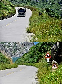 東引燈塔路蔓生的雜草,將黑黃相間的水泥護欄都掩蓋住了。(圖/文:陳其敏)