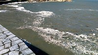 　垃圾長龍　隨波逐流。（圖與文：陳鵬雄）