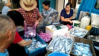 　颱風過後又逢大潮水，橋仔漁民捕獲大量小白鯧，引來婆婆媽媽們搶購。（圖／文：陳鵬雄）