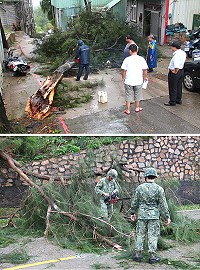 「梅姬」颱風強風造成南竿多處路樹倒塌,縣府建設局昨天展開清理工作,恢復交通順暢。(圖/文:吳嘉榮)