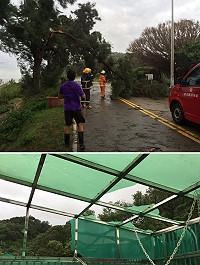 「梅姬」颱風一夜肆虐,莒光傳出零星災情。(圖/文:宋幸儒、東莒派出所)