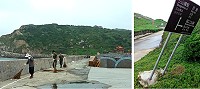 梅姬颱風吹落大量枝葉,造成環境髒亂,東引鄉公所、指揮部齊動員清淨家園。西引島后澳處的導覽告示牌遭強風拔起,歪倒一邊,風景管理單位已通知廠商進行修繕。(圖/文:陳其敏)