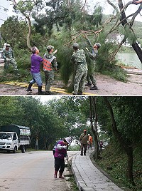 　上圖：軍民通力合作鋸除傾倒樹木。下圖：與清潔隊員一同清除路面枯枝落葉。（圖／文：陳玉笈）