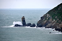 　八月花　九月湧。（圖與文：陳鵬雄）