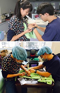 民眾11日拾獲受傷保育類燕隼,台大動物醫院醫師15日專程搭機前來馬祖協助診療。(圖/文:吳嘉榮)