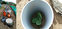 　菜園裡塑膠水管林立，原來是農民自創的菜苗防護罩。（圖／文：陳鵬雄）