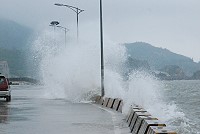 滿潮水花／圖與文：楊凱棻