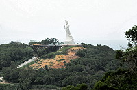 　縣府建設局持續進行林相變更工作，近日選在颱風過後，將媽祖巨神像所在的門前山靠村莊側的老舊林木伐除，準備全數改植栽楓樹，預約未來的大片楓紅美景。（圖／文：曹重偉）
