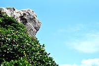 　猿貌－在接近「東湧燈塔」石碑的階梯處，抬頭仰望，有一似猿人模樣的奇石，越看越像。（圖／文：陳其敏）