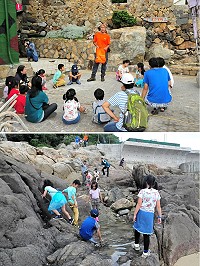 津沙起學堂秋季遠足第三場「海洋」開跑,吸引20多位大小朋友參加,上午一起在津沙海灘探索潮間帶,感受海浪聲之美,學員們度過充滿野趣的一天。(圖/文:曹重偉)