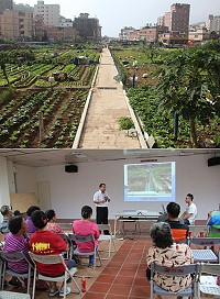 山隴社區蔬菜公園周邊設施環境景觀改善二期工程說明會26日舉行,建設局和農民協商後續施作計畫。(圖/文:吳嘉榮)
