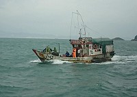 落實執法與強化海洋保育,馬祖海巡隊近期積極取締近海違法作業。(圖:馬祖海巡隊提供)