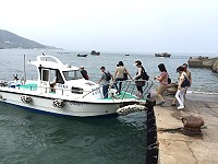 　不是偷渡客。（圖與文：陳鵬雄）