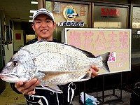 久違了 ！ 大白格　圖與文：陳鵬雄