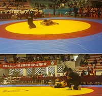 105年度全國總統盃角力賽昨日開始,馬祖角力隊首日即獲2金2銀4銅佳績。(圖:縣府教育局提供)