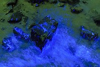 全村一起來熱鬧!(圖與文:張登傑、陳樂團)