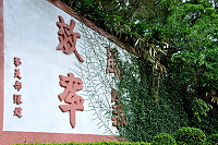 蔓延　圖與文：陳鵬雄