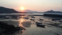 全村一起來熱鬧!(圖與文:張登傑、陳樂團)