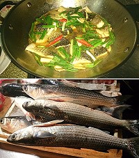 醬煮烏魚　文／陳高志