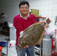 野生新鮮比目魚,神辳居老闆高志勇1400元買下,製作生魚片及煎煮。(圖:高志勇)