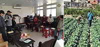 建設局在北竿坂里召開三寶收購說明會,並推廣農田防蟲設備。(圖:建設局)