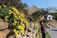 　全村一起來熱鬧！（圖與文：張登傑、陳樂團）