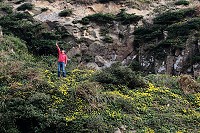 　全村一起來熱鬧！（圖與文：張登傑、陳樂團）
