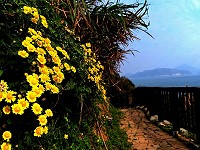 　全村一起來熱鬧！（圖與文：張登傑、陳樂團）