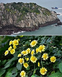 　全村一起來熱鬧！（圖與文：張登傑、陳樂團）