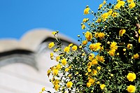 　全村一起來熱鬧！（圖與文：張登傑、陳樂團）