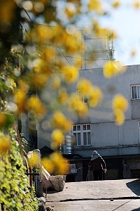 　全村一起來熱鬧！（圖與文：張登傑、陳樂團）