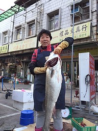 山隴街頭傍晚開始出現賣鱸　抱卵季節最大17斤