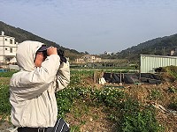 　台北鳥會受託執行106年馬祖地區新年鳥類生態調查。（圖／文：陳鵬雄）