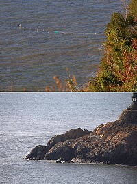 南竿島南面沿岸出現大量定置網漁具,這些定置網直接封鎖海岸線,嚴重破壞地區海洋生態。(圖:民眾提供)