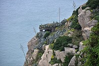 　冬日的馬祖，海島意象更鮮明。海角一隅，岩石、崗哨，龍舌蘭枯槁的莖幹還矗立著，艷黃的野菊花隨意點綴，別具風情。連知名作家龍應台都說：「你必須在冬天來馬祖，才懂得蕭瑟之美。」（圖／文：陳其敏）