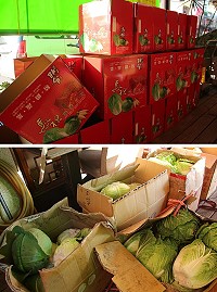 兵兵友禮蔬菜三寶禮盒內有大白菜、高麗菜、蘿蔔,即日起展開銷售作業,將持續至產季結束。(圖/文:吳嘉榮)