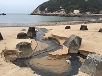 馬鼻灣下水道出水口近日又浮現黑沙並傳出陣陣臭味,公所今年度規劃爭取遷移管路做改善,(圖/文:陳鵬雄)