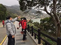 產發處專業人員指導,北竿鄉公所展開環島北路全段外側路樹修剪作業,以突顯海景視野。(圖/文:陳鵬雄)