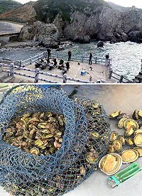 西莒菜浦澳的陸連島,得天獨厚的地形環境,是很多釣友及採蚵人的最愛。(圖/文:宋幸儒)