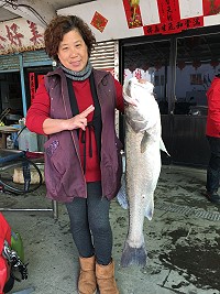 大鱸出水　圖與文：宋幸儒