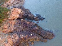 　軍犬固守鐵堡。（圖：陳學興提供）