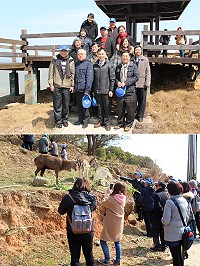 臺北醫學大學校長閻雲、縣長劉增應3日上午前往大坵賞鹿,體驗零距離接觸和餵食鹿群。(圖/文:吳嘉榮)