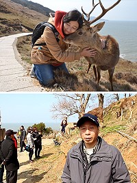 產發處採行3方案提供梅花鹿更多食物來源及梅花鹿與人親近。(圖:吳柏軒、吳嘉榮)