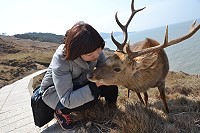全村一起來熱鬧!(圖與文:張登傑、陳樂團)